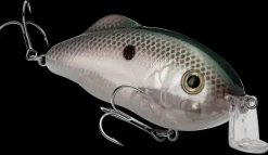 Strike King Hybrid Hunter Shallow| Hard Baits
