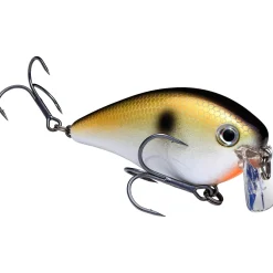 Strike King KVD 2.5 Wake Bait| Hard Baits