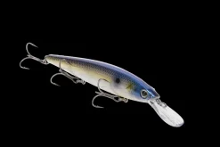 Strike King KVD Elite 300 Deep Jerkbait| Hard Baits