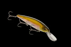 Strike King KVD Elite 300 Deep Jerkbait| Hard Baits