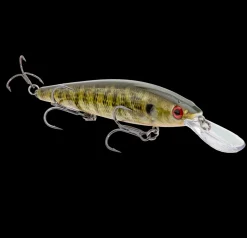 Strike King KVD J300 Deep Sinking Jerkbait| Hard Baits
