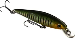 Strike King KVD Jerkbait 100| Hard Baits