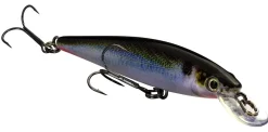Strike King KVD Jerkbait 100| Hard Baits
