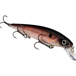 Strike King KVD Jerkbait 300| Hard Baits