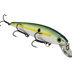 Strike King KVD Jerkbait 300| Hard Baits