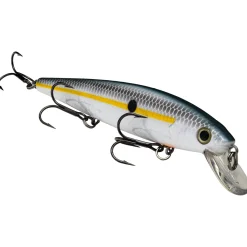 Strike King KVD Jerkbait 300| Hard Baits
