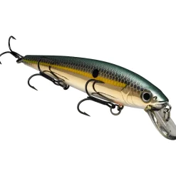 Strike King KVD Jerkbait 300| Hard Baits