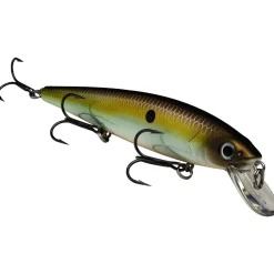 Strike King KVD Jerkbait 300| Hard Baits
