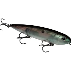 Strike King KVD Sexy Dawg Hard Knock Topwater| Hard Baits