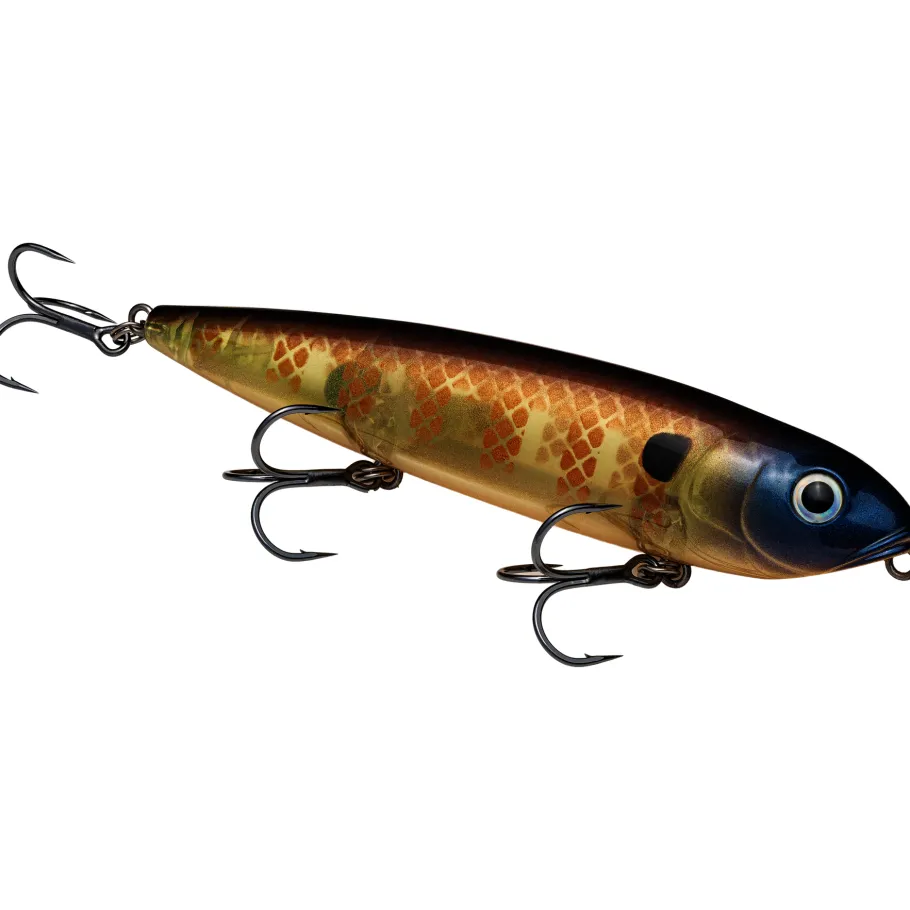 Strike King KVD Sexy Dawg Hard Knock Topwater| Hard Baits