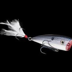 Strike King KVD Splash Jr Topwater| Hard Baits