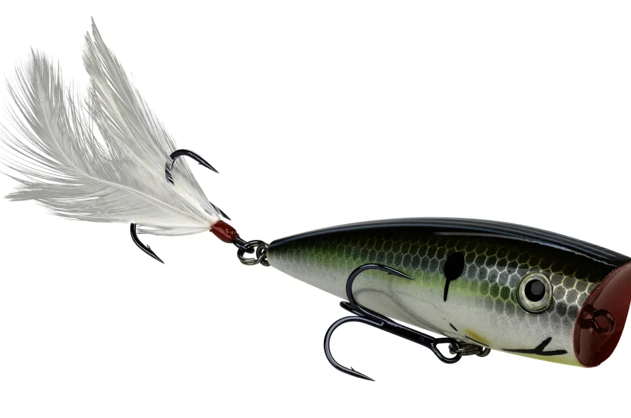 Strike King KVD Splash Topwater| Hard Baits