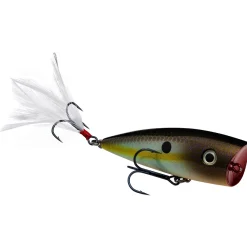 Strike King KVD Splash Topwater| Hard Baits