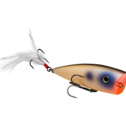 Strike King KVD Splash Topwater| Hard Baits