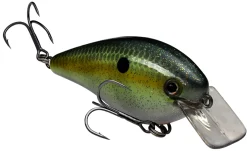 Strike King KVD Squarebill 1.5 Hard Knock Crankbait| Hard Baits