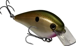 Strike King KVD Squarebill 1.5 Hard Knock Crankbait| Hard Baits