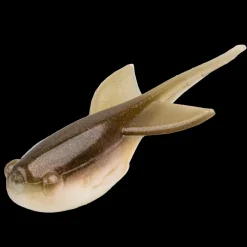 Strike King Sugar Glider| Soft Baits